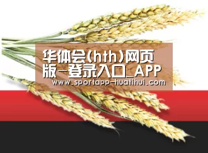 华体会(hth)网页版-登录入口_APP下载