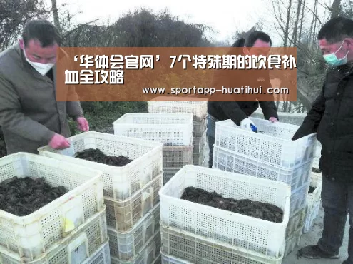 华体会官网