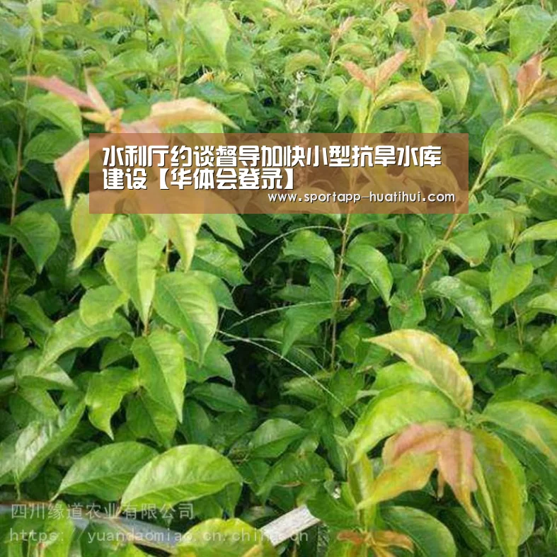 华体会官网