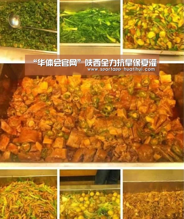 华体会登录