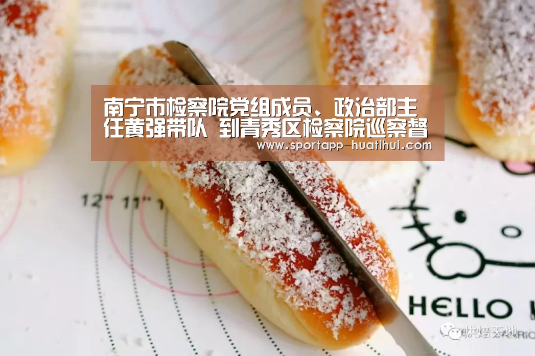 南宁市检察院党组成员、政治部主任黄强带队 到青秀区检察院巡察督察党组管党治党主体责任落实情况【华体会官网】(图1) 华体会